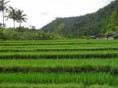 Sawa hiking trip